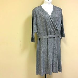 Plus size Talbots silver dress
